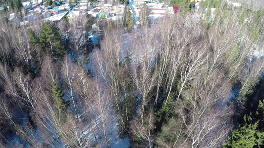 森林附近村内房屋的冬季空中风景视频