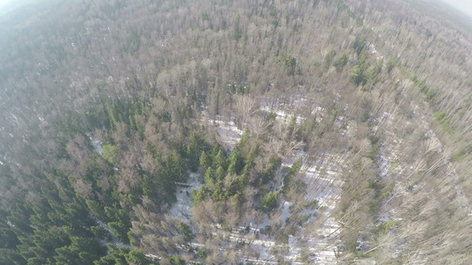 冬季混合森林地貌的空气空中全景视频