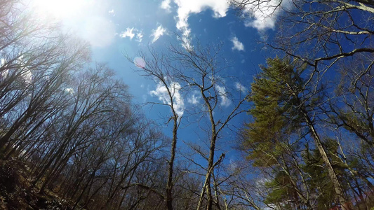 蓝色的天空有树木云彩和日落视频