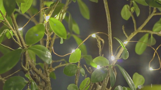 树叶和装饰的灯光视频