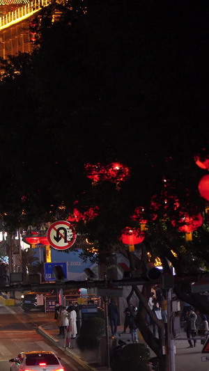 多组实拍重庆洪崖洞夜景车流镜头山城夜景73秒视频