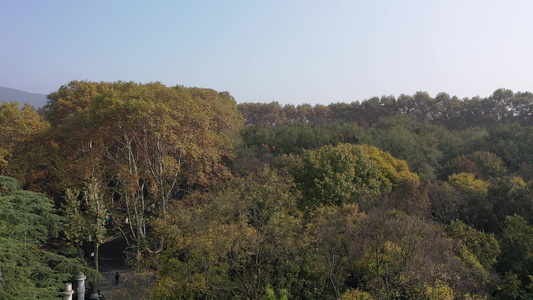 航拍中国江苏南京钟山风景名胜区美龄宫深秋美景视频