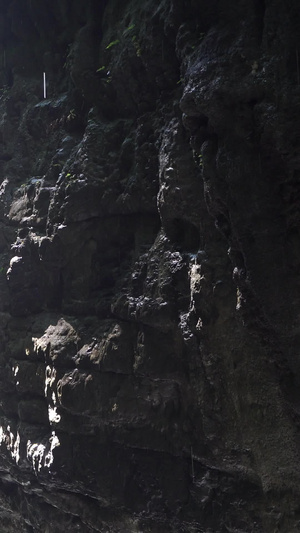国家5A级旅游景区重庆黑山谷渝黔大裂谷钟乳石21秒视频