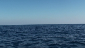 海洋中的头晕18秒视频