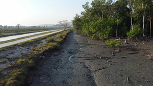 飞过红树林沼泽泥土15秒视频