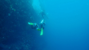 4K海底实拍潜水员潜水15秒视频