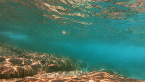 水下浮潜摄影19秒视频