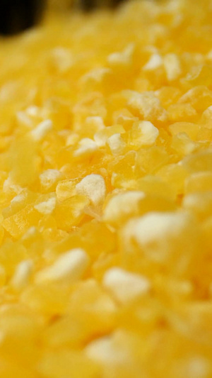玉米碴玉米碎粮食五谷粗粮16秒视频