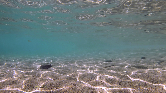 水下潜水在海中潜水视频