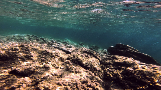 水下潜水在海中潜水视频