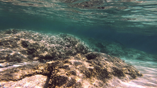 水下潜水在海中潜水视频