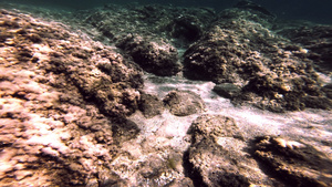 水底礁石21秒视频