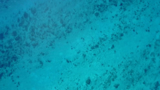 海洋环礁湖海滩由蓝水和棕榈附近白沙背景的蓝色水经海面视频