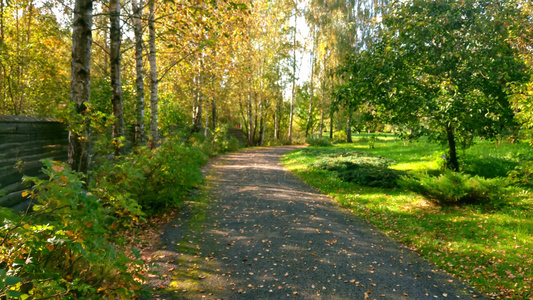 秋天初沿着公园的路走视频