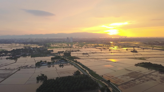 稻田极美的夕阳风景视频