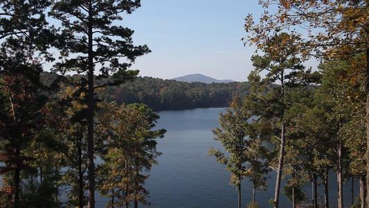 Arkansas的自然场景视频