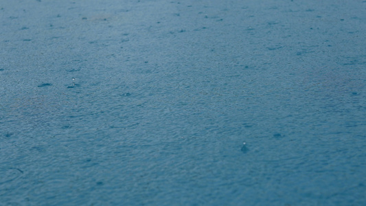 素材无缝循环特写镜头雨在水面上雨滴水坑无缝循环背景视频