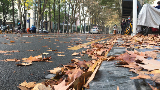 城市秋季落满金黄树叶的道路4k秋天素材[覆满]视频