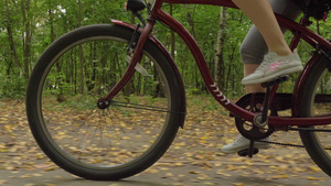 女人的腿在公园脚踏自行车上秋天落叶9秒视频