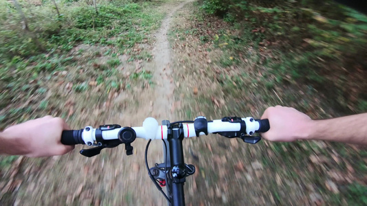 秋天的颜色第一视角原创观点在森林中的肮脏道路上骑自行车视频