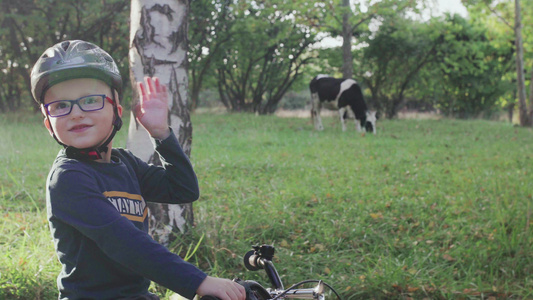 小孩在田野附近骑自行车跟奶牛一起玩弄气味视频