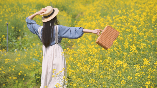 4k油菜花海的少女视频