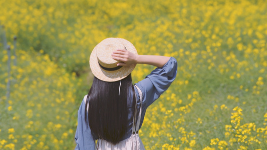 4k油菜花海的少女视频