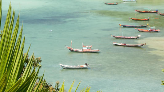 在热带异国天堂岛的白沙海岸附近漂浮在平静的蓝水上的视频