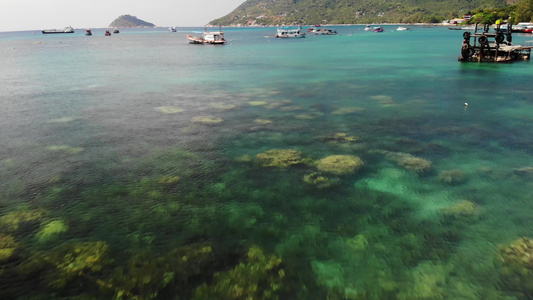 船在港口平静的海面上在泰国阳光明媚的日子里在热带异国情调视频