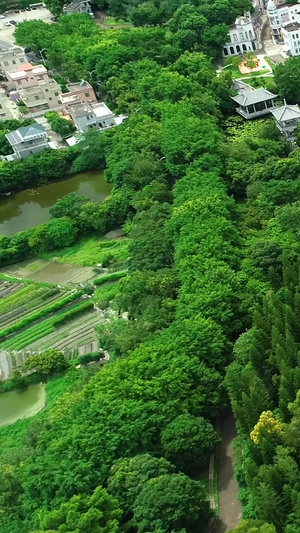 广东中山市中山影视城广东中山景区20秒视频