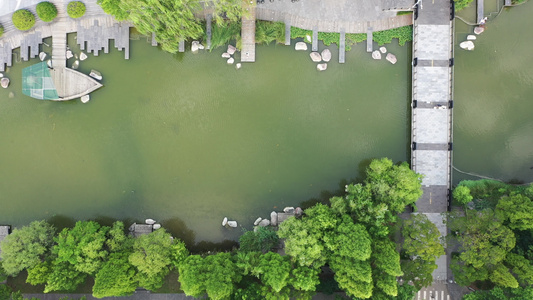 航拍郑州大学校园绿化风光绿意盎然树林茂密视频