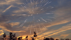 庆祝节日烟花25秒视频