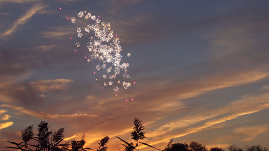 征服者庆祝烟花独立日在无尽的海平面惊人的海滩夕阳上视频