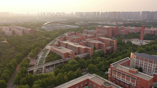 航拍郑州大学校园绿化风光绿意盎然树林茂密视频