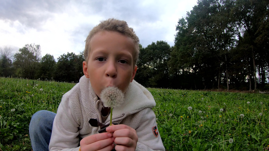 男孩吹在花朵上视频