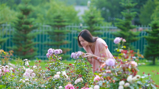 在花园的年轻女孩美丽的玫瑰中玫瑰的气味视频