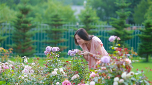 在花园的年轻女孩美丽的玫瑰中16秒视频