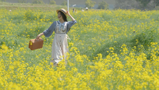 4k油菜花海的少女视频