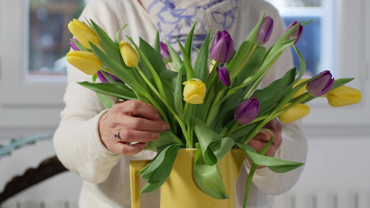女人在花瓶里安排春郁金香花束视频