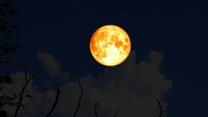 超级水月在夜空中的双周光树上重新升起23秒视频