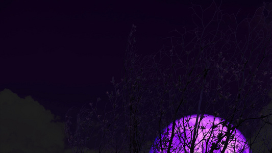 4千个超级紫色月亮在夜空中的圆周树上升起视频