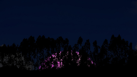 超级粉红月亮在松树的圆周线围栏上重新升起视频