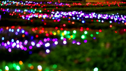 夜间花园树上闪亮的彩彩色光灯装饰视频