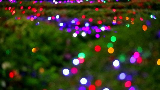 夜间花园树上抽象模糊彩虹彩色灯光装饰视频