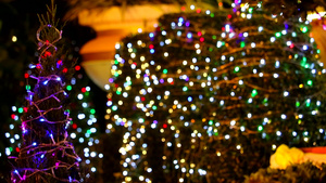 夜间花园树上多彩的彩灯装饰15秒视频