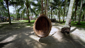 椰子农场悬挂着鸟笼椅子7秒视频