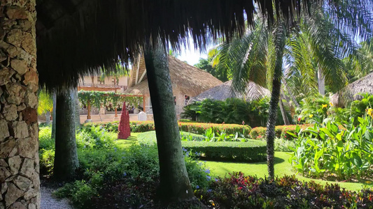 度假村中的热带花园视频