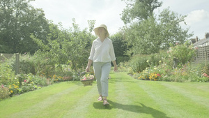 高级女老人在花园里走过自己的花园17秒视频