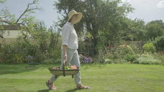 高级天主教女老人在花园里走过自己的花园视频