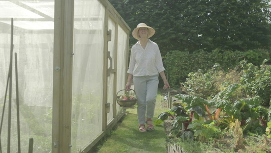 高级女老人在花园里走过自己的花园视频